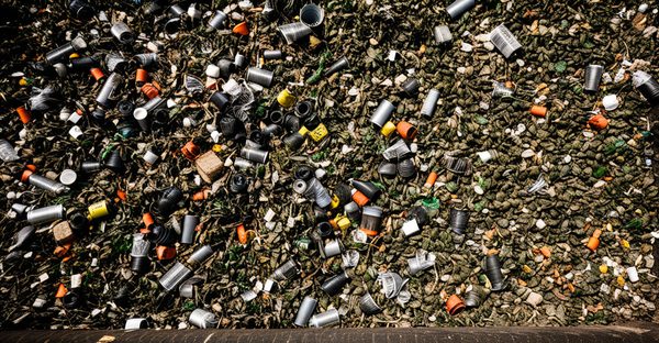 Site spécialisé dans la collecte et le traitement des déchets : vos solutions durables